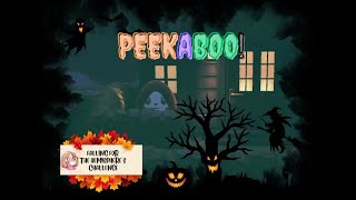 ACNH Peekaboo Roscoes Maze [upl. by Ettenel]