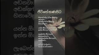 කණපිට ජීවිතේtrending viralvideo shots landscape life [upl. by Bull]