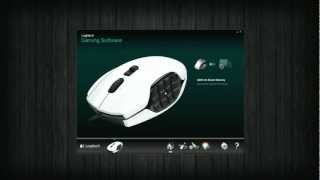 Logitech G600 MMO Mouse Review amp KeyBind Tutorial For Guild Wars 2 [upl. by Vaasta]