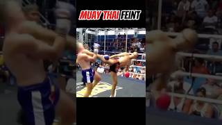 Muay Thai feint and side kick 🐉 muaythai mma fighter karate [upl. by Bassett]