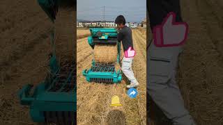 Harvesting and baling machine for Eustoma [upl. by Talbot]