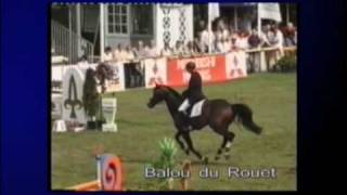 balou du rouet 2009 [upl. by Mosier]