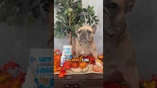 You ready for fall Stay healthy with glandex by ​⁠  fall dogs ad vetniquelabs [upl. by Doowle895]