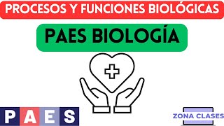 Procesos y funciones biológicas PAES Biología admisión 2025 [upl. by Hildegaard]