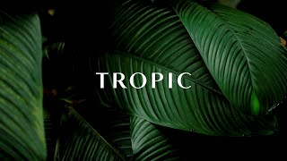 Tropic Skincare Vegan CrueltyFree Skincare That’s Revolutionising Sustainable Beauty ​ [upl. by Naitsirhk786]