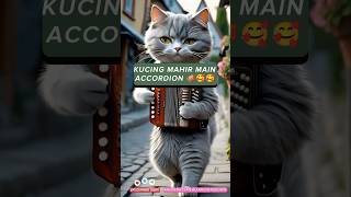 KUCING SUKA ACCORDION ‼️shorts hiburan funny cute kucing [upl. by Tohcnarf]