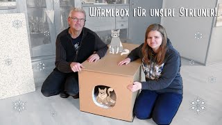 Wärmebox für Katzen bauen  Balkon Garten Tiere [upl. by Castara]