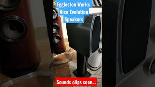 EgglestonWorks Nico Evolution Speakers [upl. by Elleivad238]