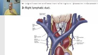 Anatomy CVS Module in Arabic 19  Brachiocephalic veins  by Dr Wahdan [upl. by Alvan65]