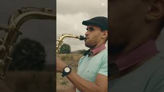 Sozinho Peninha Cover Sax [upl. by Shalne]