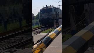 Train Horn Sound Effect Comparison Ludhiana WAP7 30651 and Tughlakabad WAP7 30335 hornsoundeffect [upl. by Auqenat138]