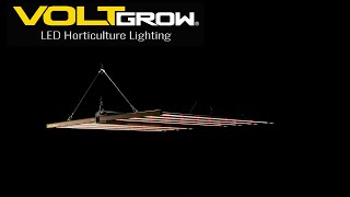 Volt Grow FL1 LED grow light PAR test and review [upl. by Carleen]