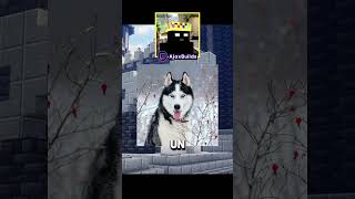 Lobo fachero con botitas😎 minecraft [upl. by Odele]