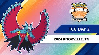 TCG Day 2  2024 Pokémon Knoxville Regional Championships [upl. by Nickolaus]