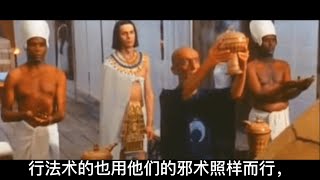 圣经电影 • 蛙灾虱灾和蝇灾  出埃及记出谷纪 • 第八章国语普通话 Exodus 8 [upl. by Rasure]