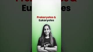 Prokaryotes amp Eukaryotes [upl. by Roldan949]