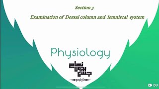 Examination of Dorsal Column and lemniscal system Physiology3 Sec 3 [upl. by Ynnaf816]