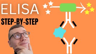 4 Steps of ELISA EnzymeLinked Immunosorbent Assay Simply Explained [upl. by Shornick547]