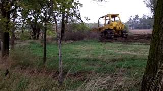 Dozer working to clear trees at Stroda Farms [upl. by Ligetti]