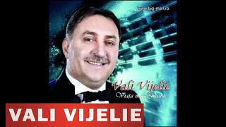 VALI VIJELIE  Viata merge inainte [upl. by Ibba]