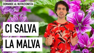 Ci salva la malva [upl. by Gloriane]