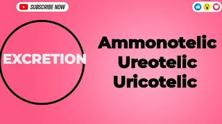 Excretion Ammonotelic Ureotelic and Uricotelic Excretion Ammonotelic urea uricacid biology [upl. by Koo54]