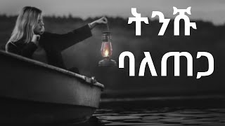 ትንሹ ባለጠጋ  አጭር አነቃቂ ታሪክ [upl. by Dymphia159]