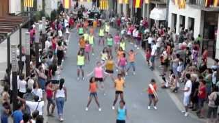 1er Flashmob en la jana 2012 [upl. by Hillell]