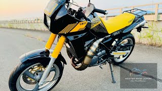 Yamaha TDR 250 [upl. by Rozanna]