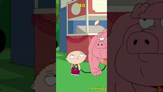 Stewie won a pig  shorts familyguy [upl. by Newol811]