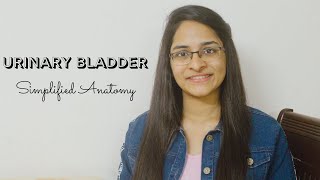 URINARY BLADDER  ANATOMY  SIMPLIFIED [upl. by Lesko870]