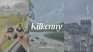 𝒗𝒍𝒐𝒈 𝟐𝟓  glendalough  kilkenny ☘️  爱尔兰郊外一日游 [upl. by Roath]