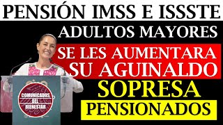 🤑 Urgente¡¡✨ PENSIÓN IMSS e ISSSTE A estos PENSIONADOS se les aumenta su AGUINALDO 2024 [upl. by Jacey]