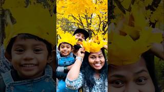 👑👸maple Leaf crown minivlog short positivevibes familyvlog dailyvlog mallusinfinland autumn [upl. by Fablan]