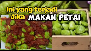 11 MANFAAT MAKAN PETAI UNTUK KESEHATAN Pete [upl. by Akirat]