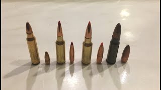 556 vs 224 Valkyrie vs 65 Grendel vs 762 x 39 [upl. by Stearn]