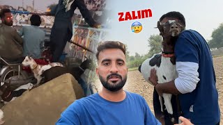 Hamari Goats Kay Sath Bahut Zulm Hoa 😥 [upl. by Llerrahs536]