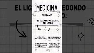 El ligamento redondo del utero educación anatomia anatomiafacil [upl. by Jorry]