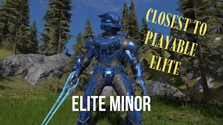 Closest thing to playable elites  Elite minor  Halo Infinite fit [upl. by Tjaden]