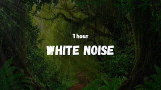 White Noise for Deep Sleep Study Focus Relaxation Meditation  1 hour [upl. by Kaazi]