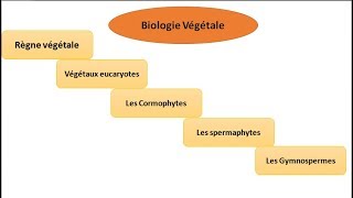 biologie végétale classification des végétaux botanique [upl. by Gault]