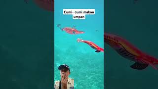 fishing squidding ocean fish mancing  squide [upl. by Fredkin]