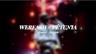 Werenoi  Pétunia slowed  reverb [upl. by Bachman222]