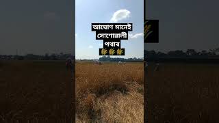 Aghunor potharot  assamese music assamesesong [upl. by Htinek]