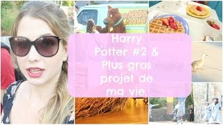 Plus gros projet de ma vie amp HP 2 ♡ VLOGMARS [upl. by Gnilsia51]