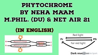 Phytochrome In English  Plant Physiology  CSIR NET Life Sciences [upl. by Esirehc712]