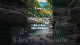 2 to 1 Breathing 5 Breaths Per Minute [upl. by Cirnek999]