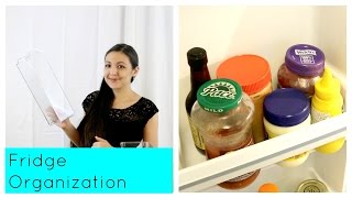 Fridge Organization  10Condiment Challenge [upl. by Ecnedurp]