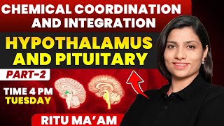 Hypothalamus and Pituitary 02  Chemical Coordination and Integration Detailed class  Ritu Rattewal [upl. by Aehcsrop]