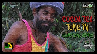 Cocoa Tea  Tune In Jamstone Remix [upl. by Omlesna]